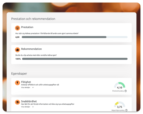 Överskådlig och professionell referensrapport