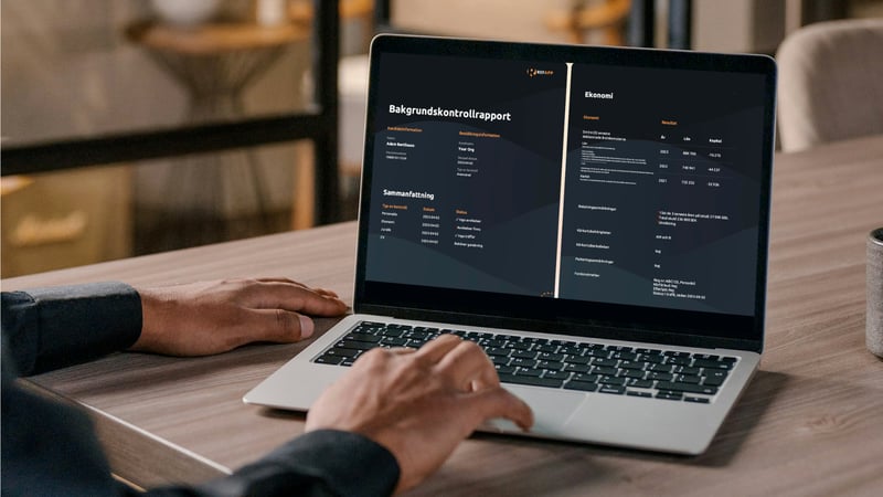 Bakgrundskontrollrapport